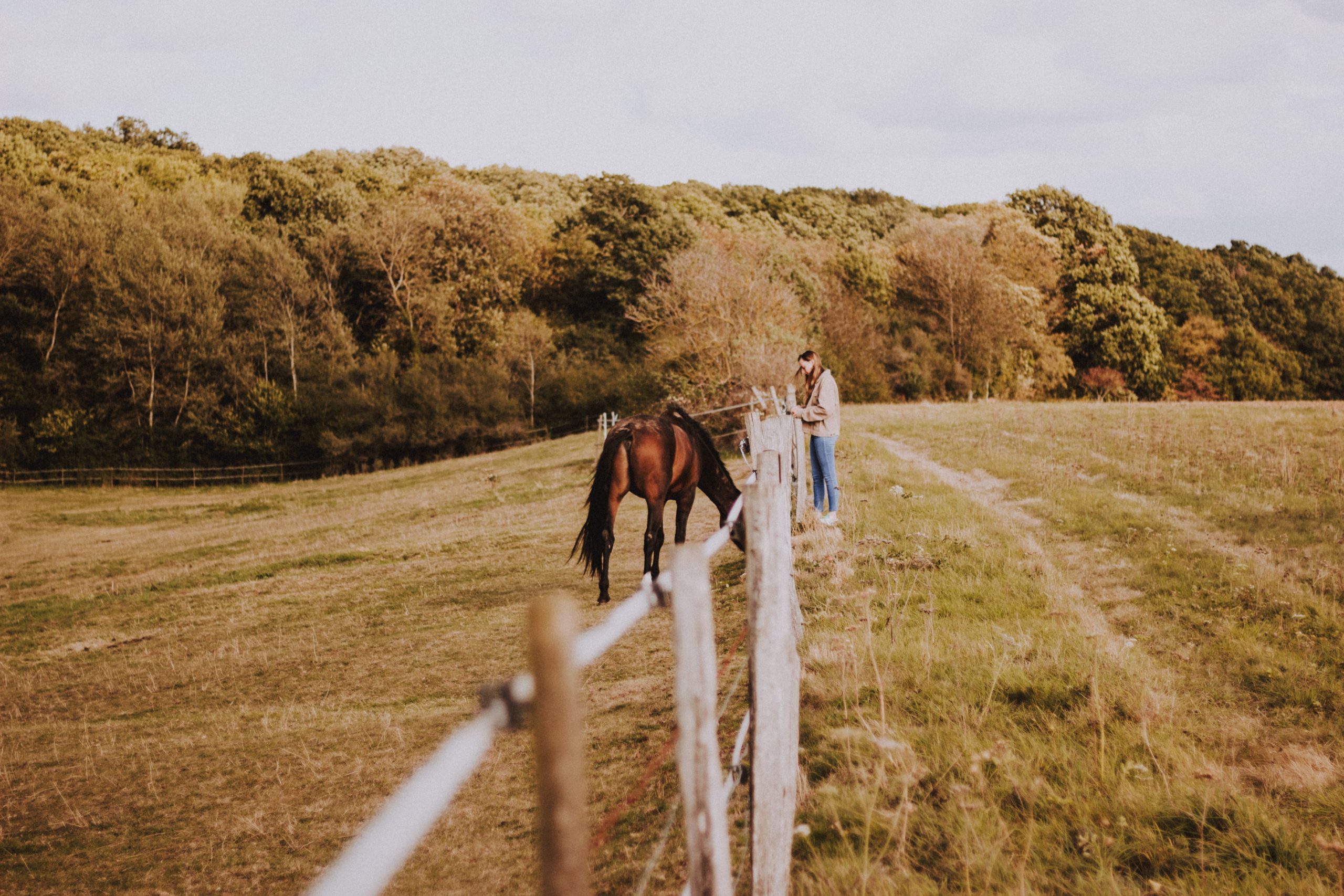 mathias-reding-gk8GDuo0_rU-unsplash mathias-reding-gk8GDuo0_rU-unsplash